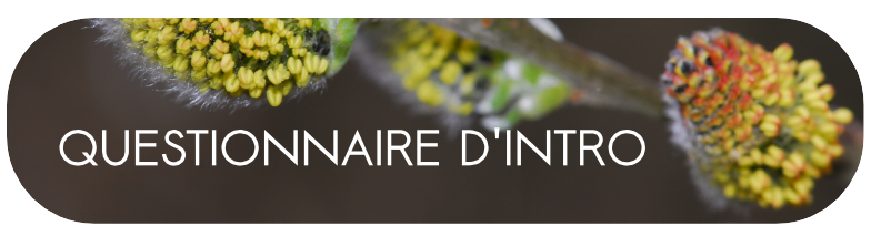 bouton lien vers questionnaire 