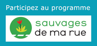 Accéder au site de sauvages de ma rue