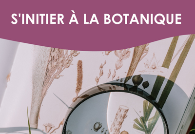 S'initier à la botanique