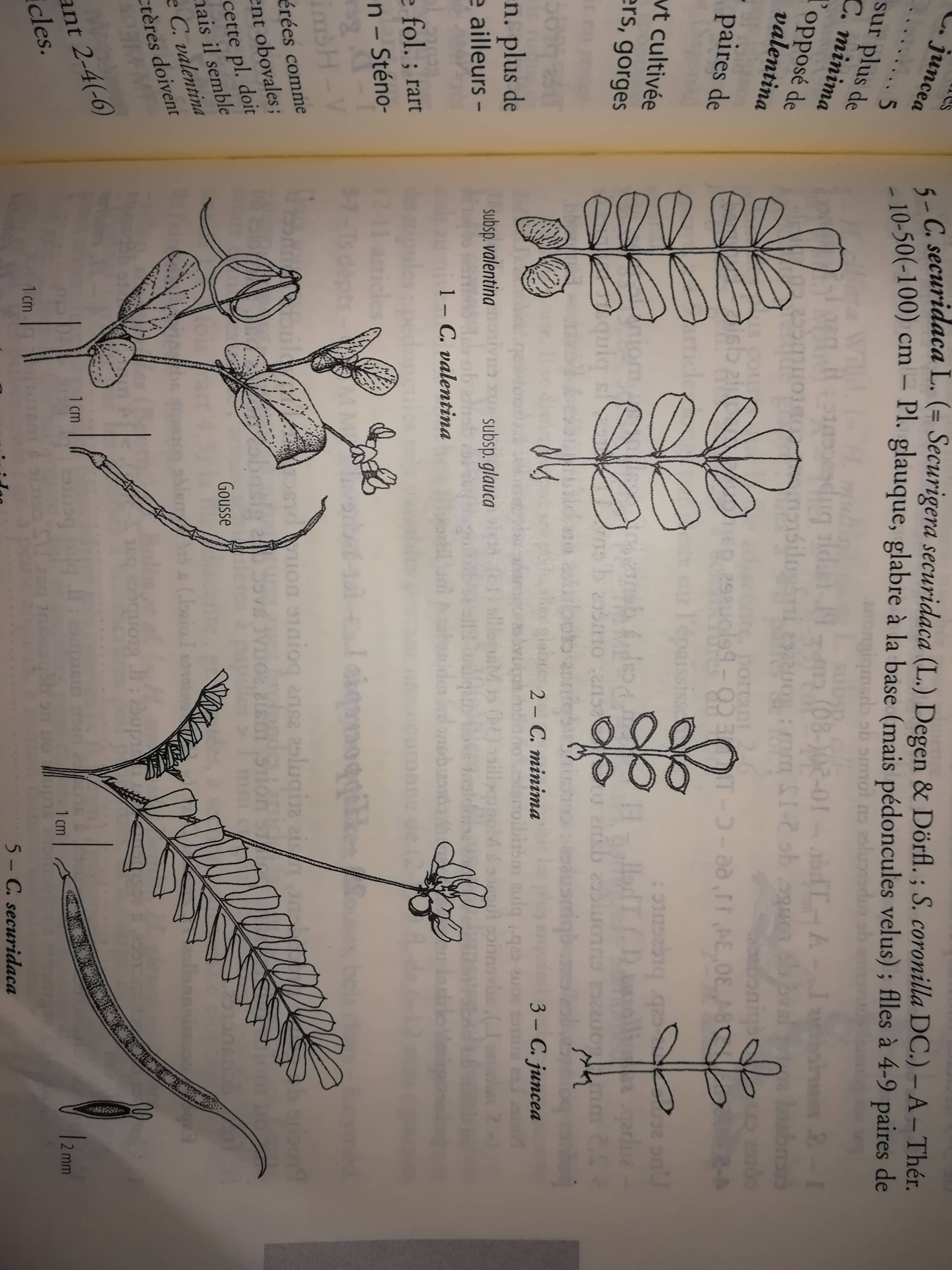 Annexe IMG_20180510_202039-min.jpg
