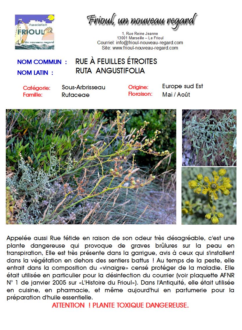 Annexe rue fetide 135.jpg