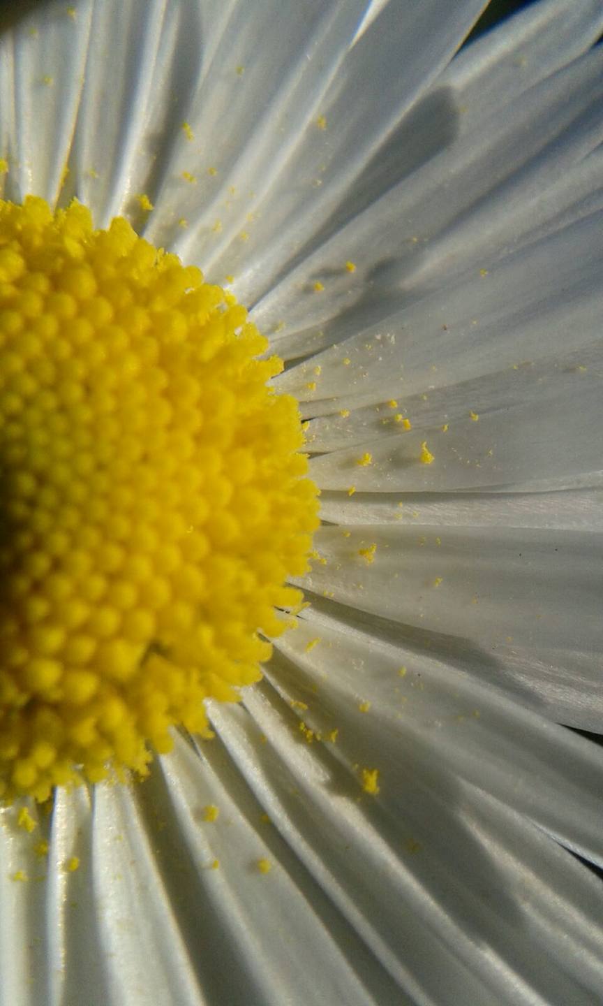 Annexe IMG-20161029-WA0013 - Copie.jpg