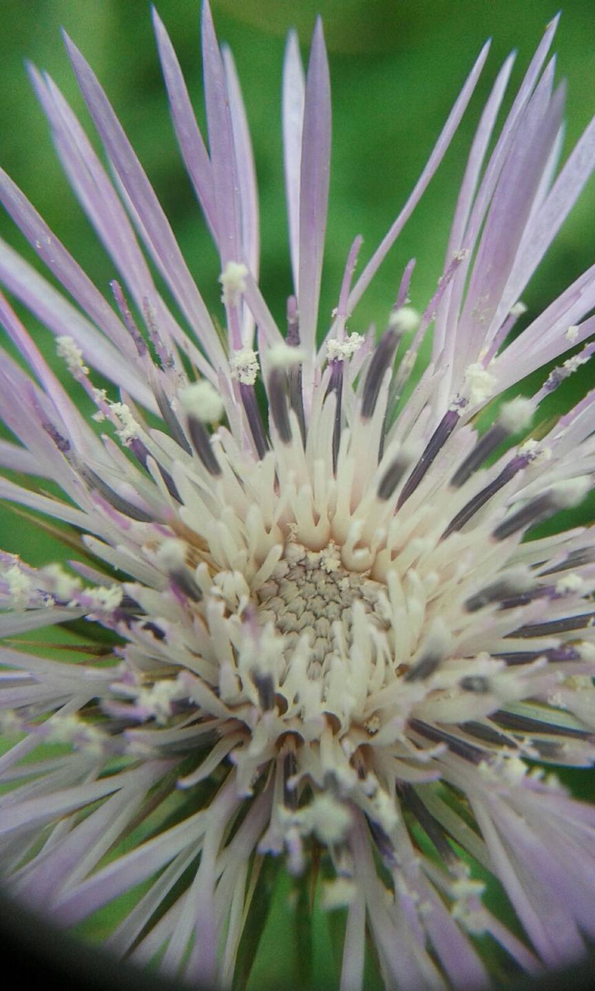 Annexe IMG-20161102-WA0001.jpg