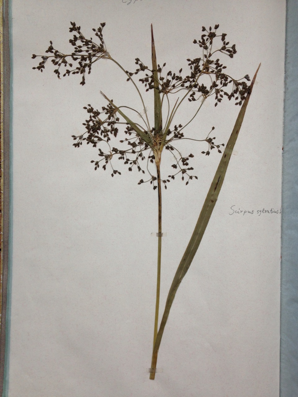 Annexe IMG_5584.jpeg