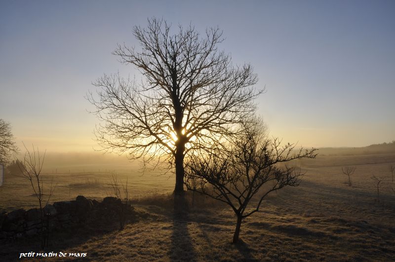 Annexe petit matin de mars.jpg