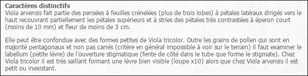 Annexe labellum stigmatique.JPG