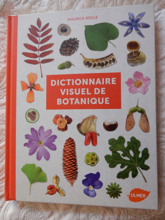 Annexe Dictionnaire visuel I.JPG