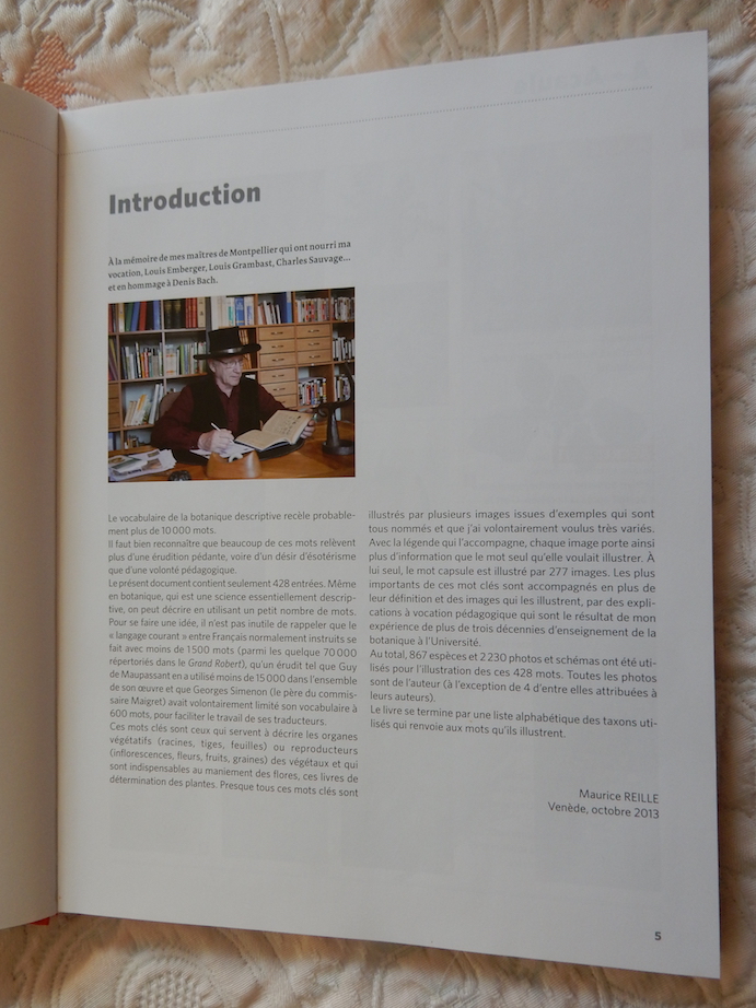 Annexe Dictionnaire visuel II.JPG