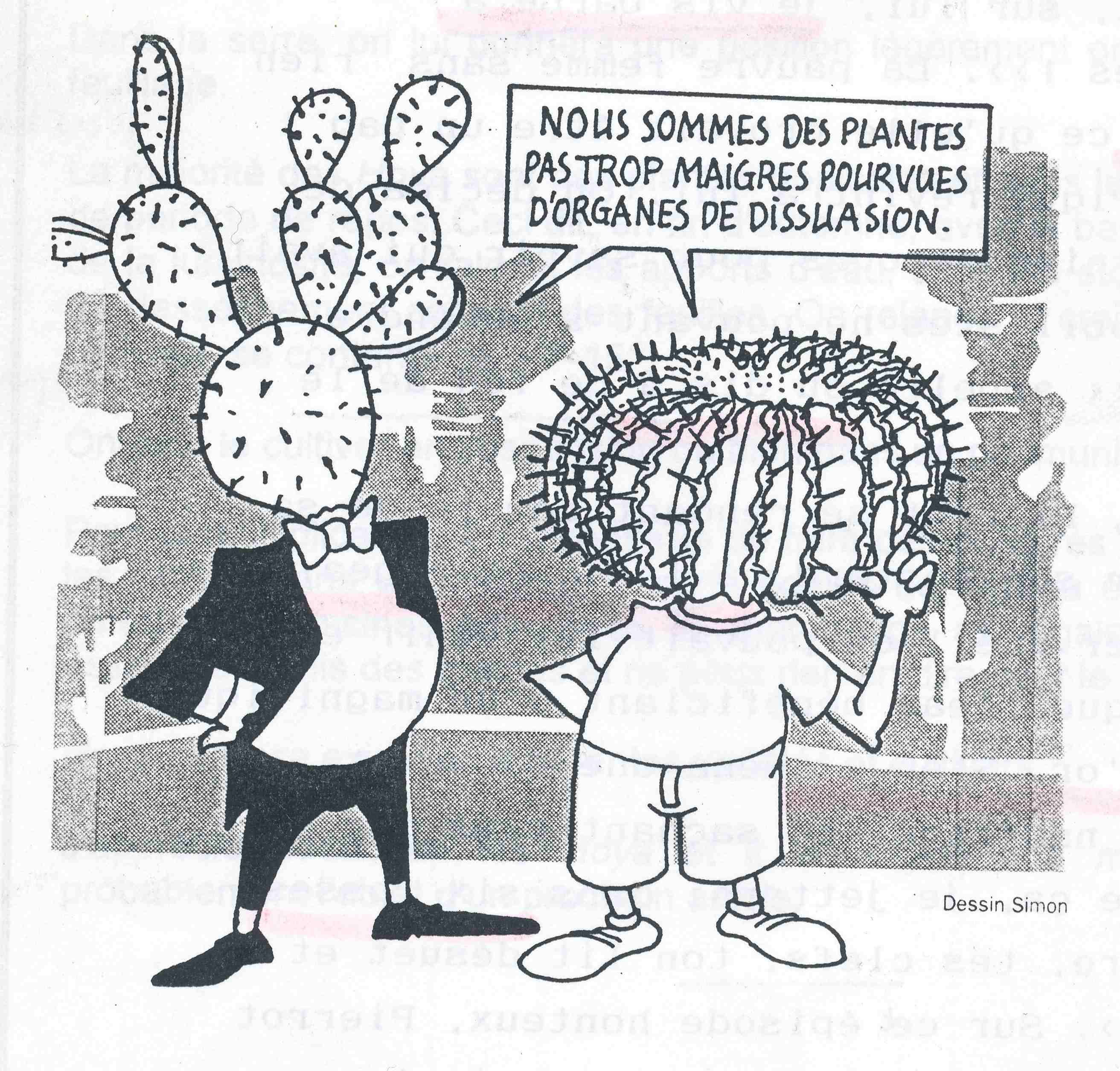 Annexe Cactifolie.jpg