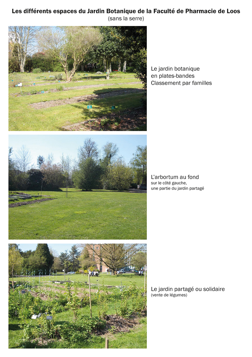 Annexe fiches_jardin_botanique_reduit-1.jpg