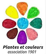 Annexe logo bnvt.jpg