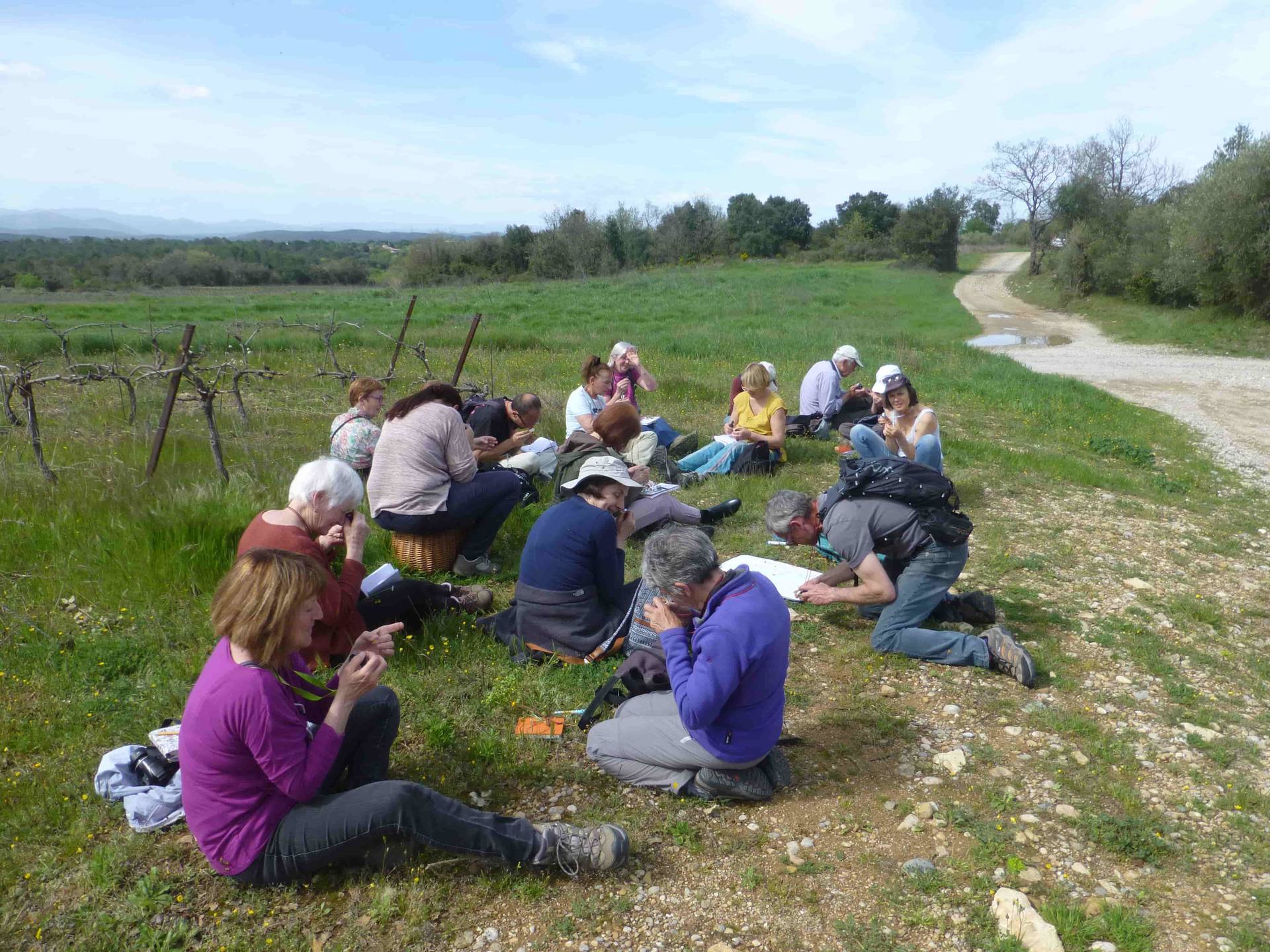 Annexe P1040269-min.JPG