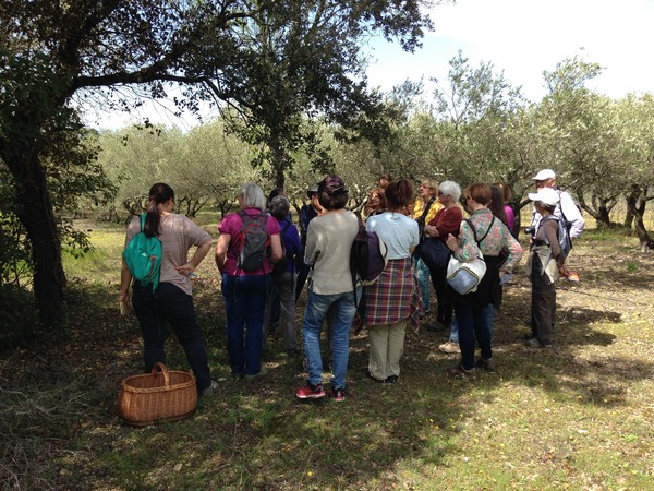 Annexe tn_IMG_3623.JPG