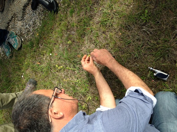 Annexe tn_IMG_3654.JPG