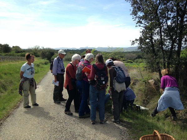 Annexe tn_IMG_3657.JPG