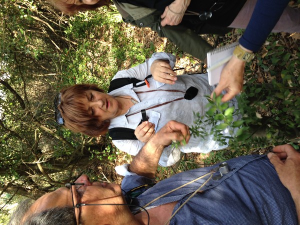 Annexe tn_IMG_3673.JPG