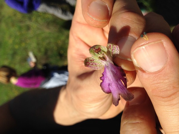 Annexe tn_IMG_3651.JPG