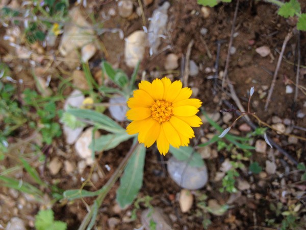 Annexe tn_IMG_3659.JPG