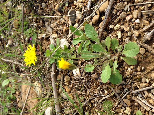 Annexe tn_IMG_3661.JPG