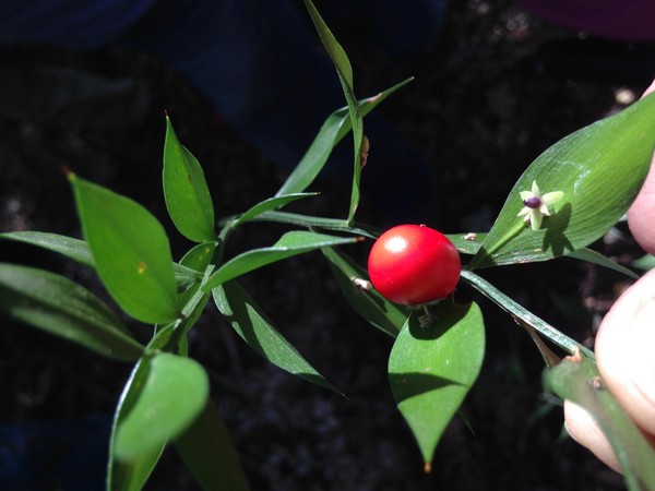 Annexe tn_IMG_3677.JPG