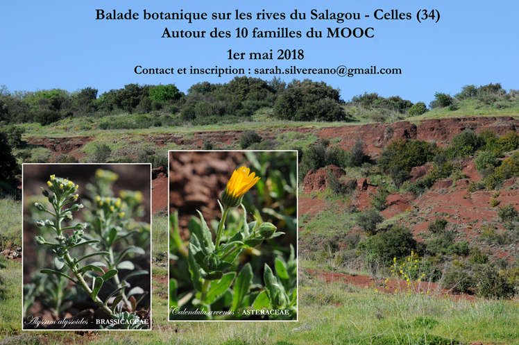 Annexe Balade_Salagou.jpg