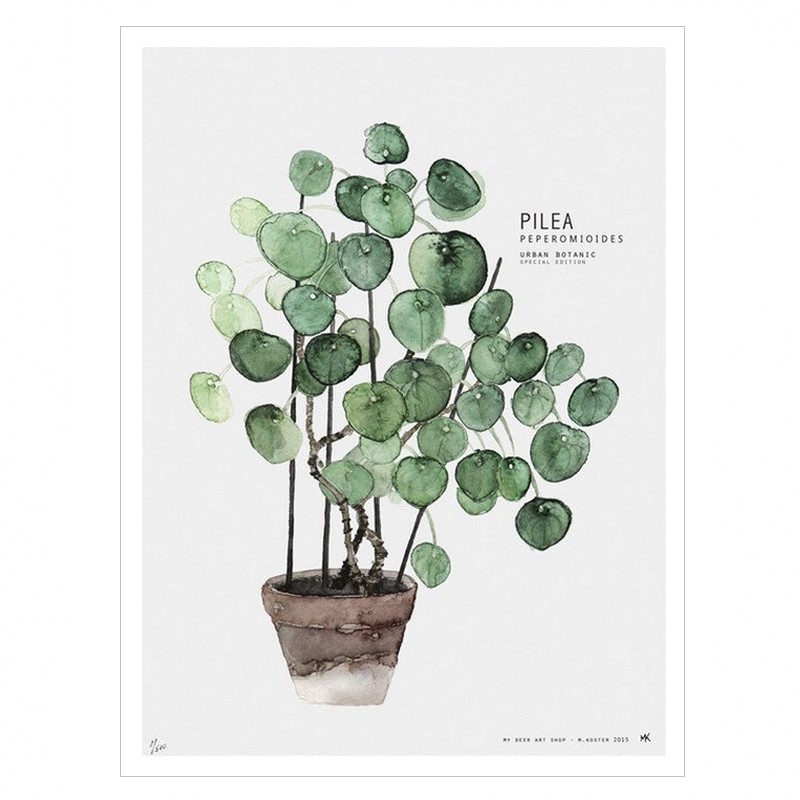 Annexe affiche-pilea.jpg