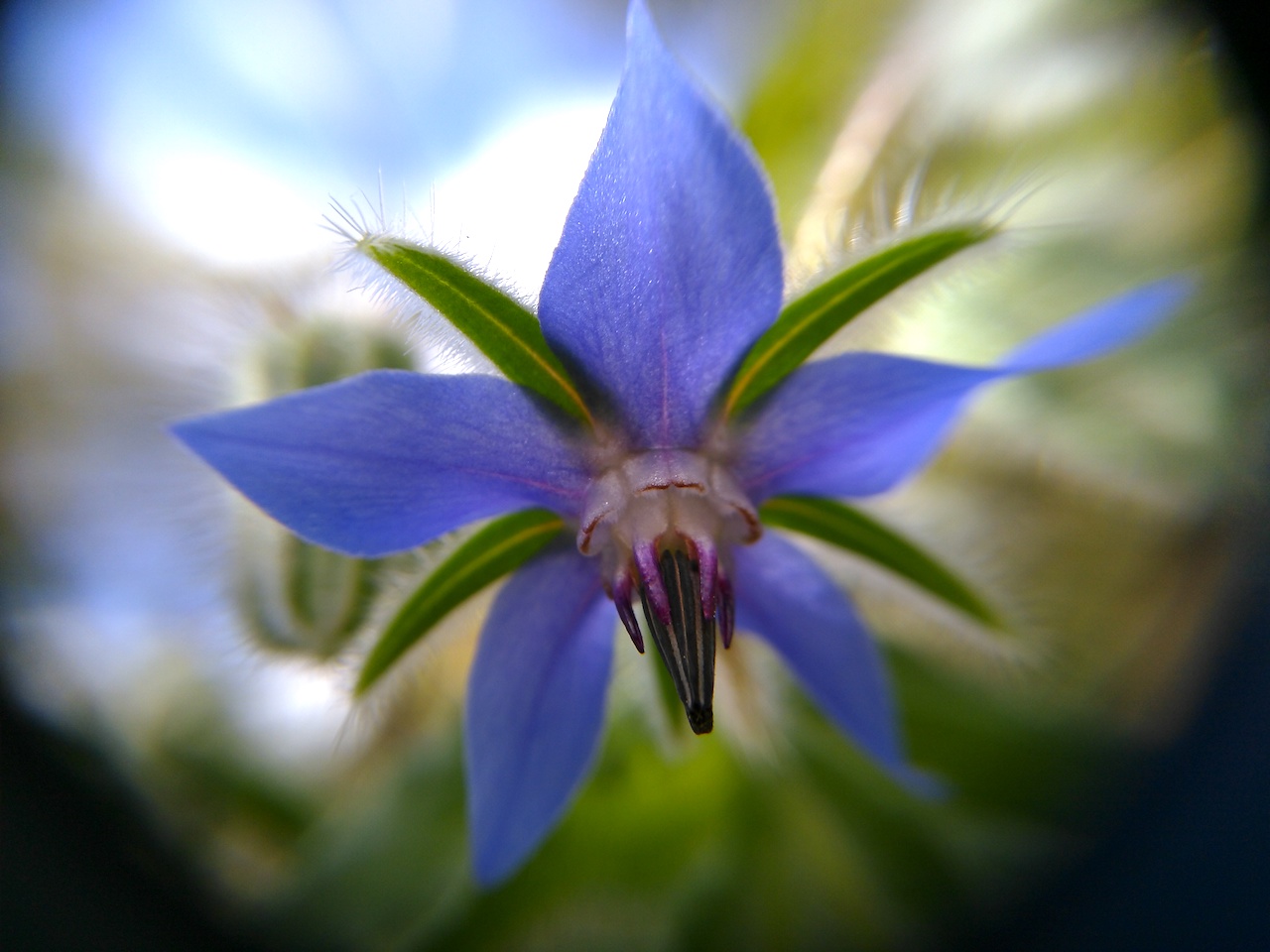 Annexe IMG_20171023_143405 copie.jpg