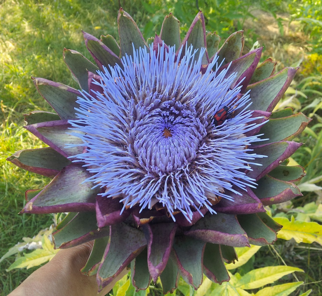 Annexe Sans titre.jpg