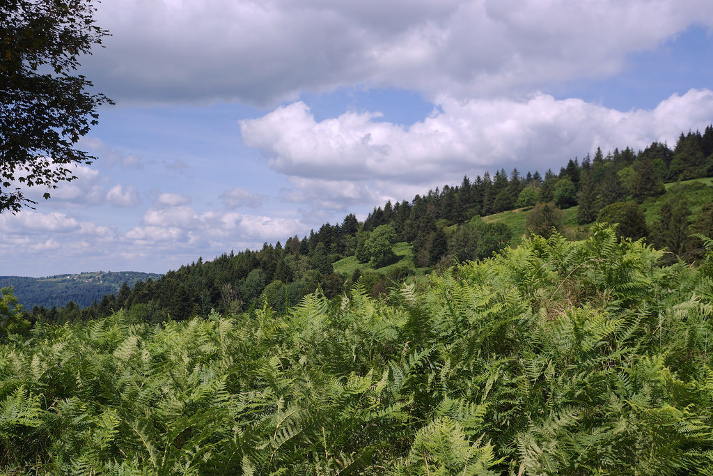 Annexe 28462950273_4d8c26d373_b.jpg