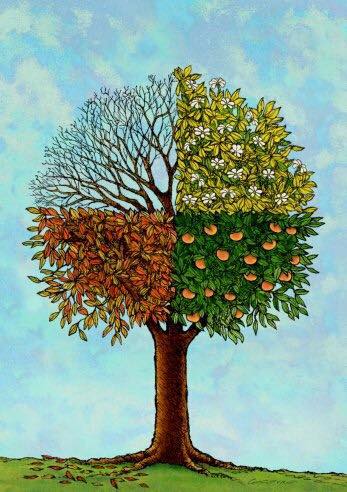 Annexe 23621351_10155932360019630_159538124509823968_n.jpg