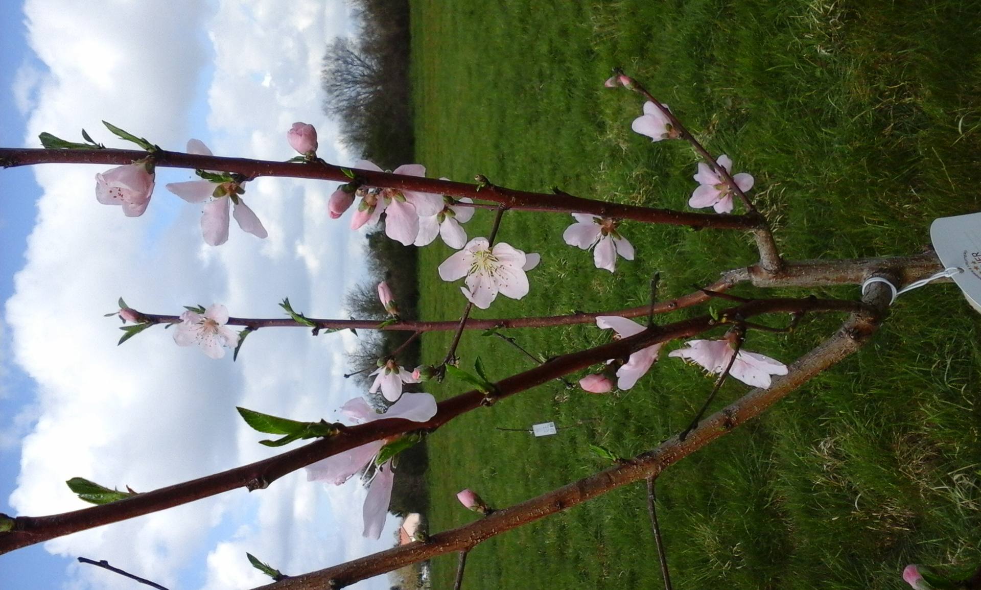 Annexe 20180319_121754.jpg