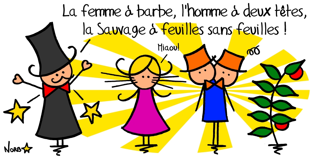 Annexe Ruscus_aculeatus.jpg