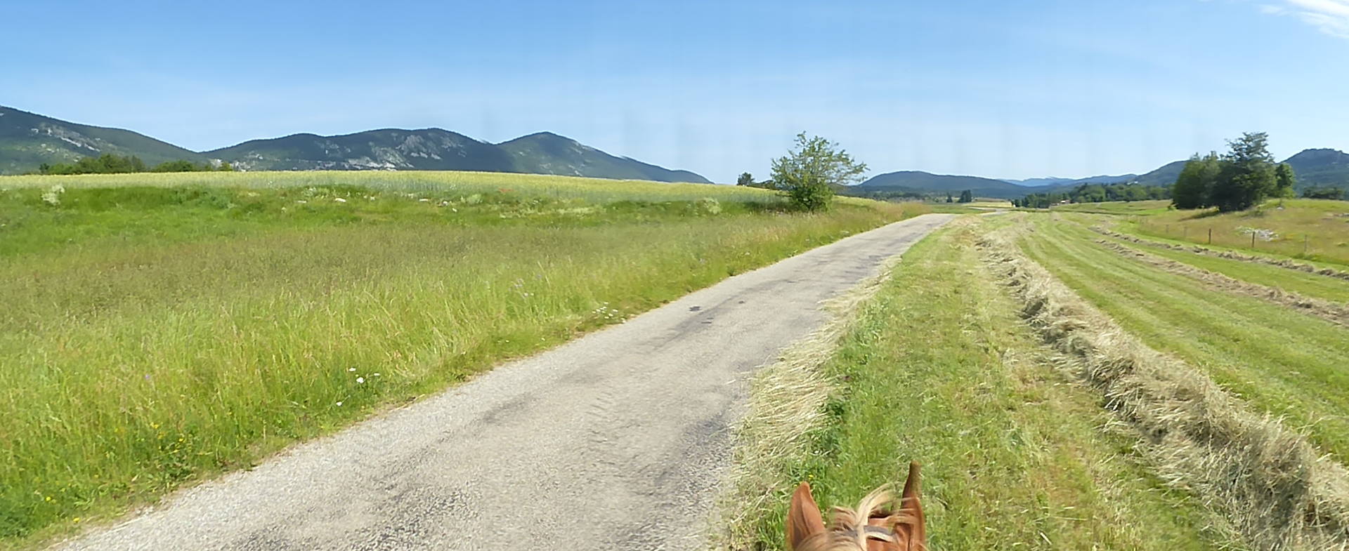 Annexe presentation.JPG