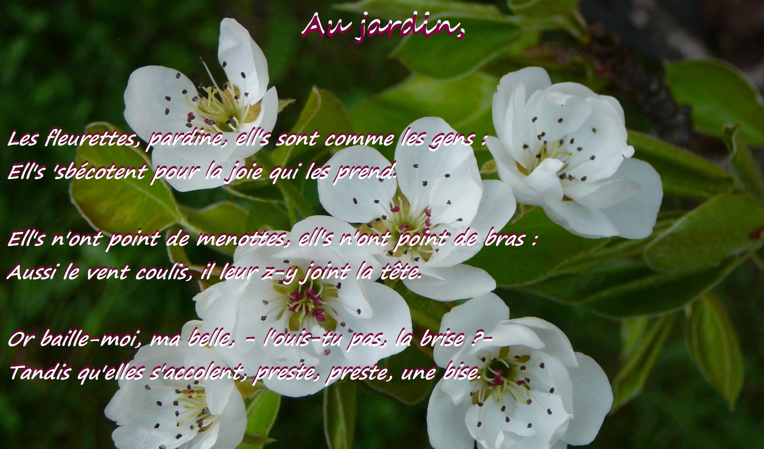 Annexe le temps des fleurs.jpg