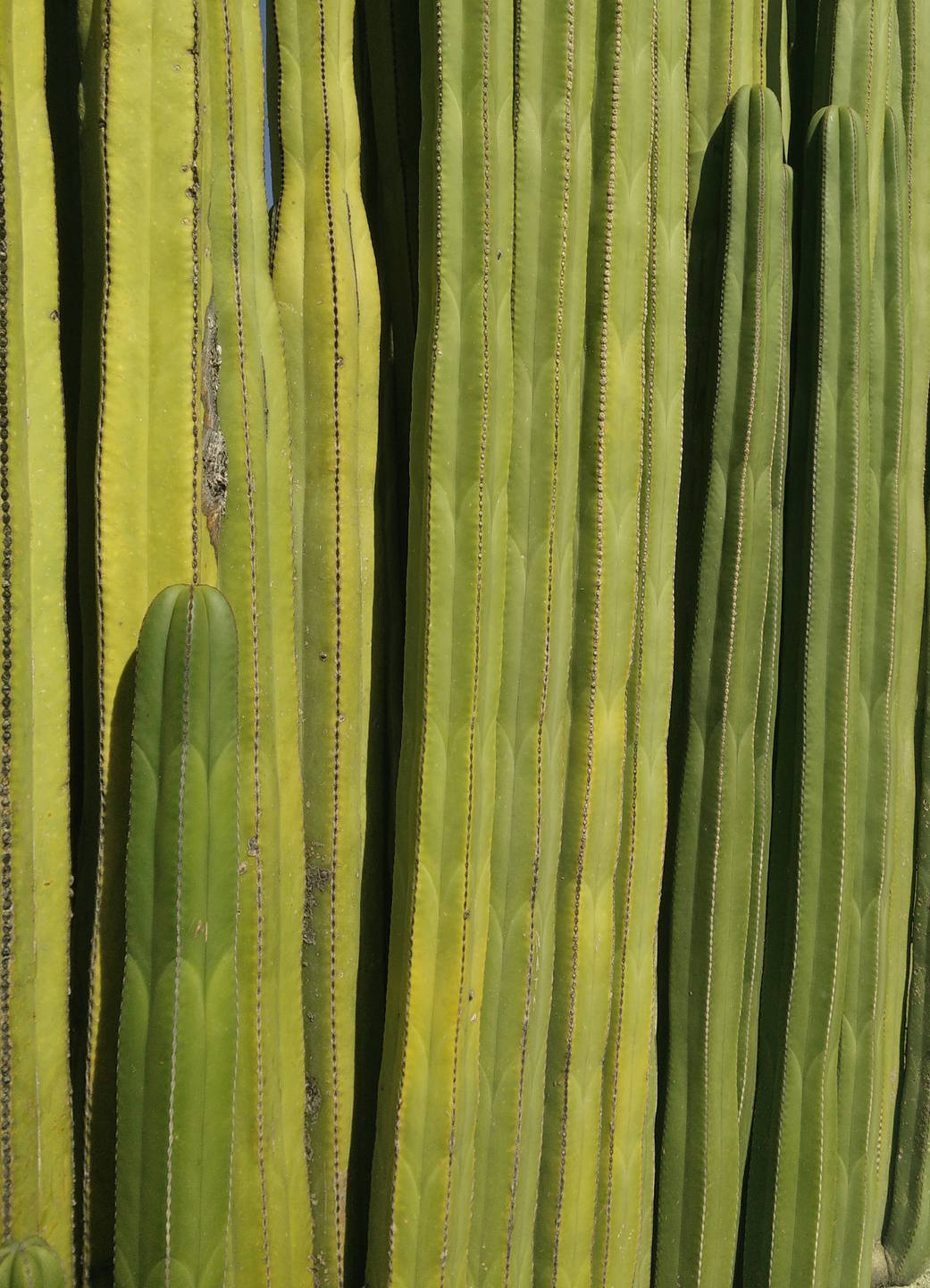 Annexe IMG_20171027_103952.jpg