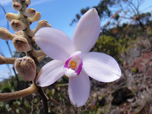 Annexe DSC03559 modif.jpg