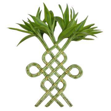 Annexe 011CE9EA-401B-4C43-B729-DB10D4A63458.jpeg