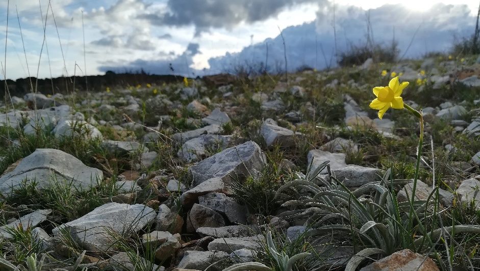 Annexe 29004158_1591458494257402_2029305976_n.jpg