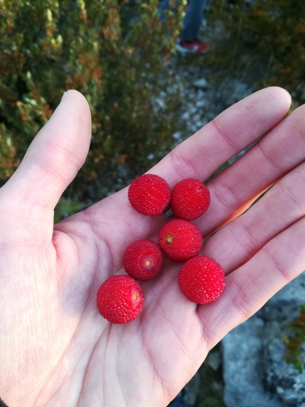 Annexe IMG_20171111_075942.jpg