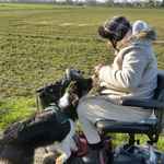 Annexe avatateliersush.jpg