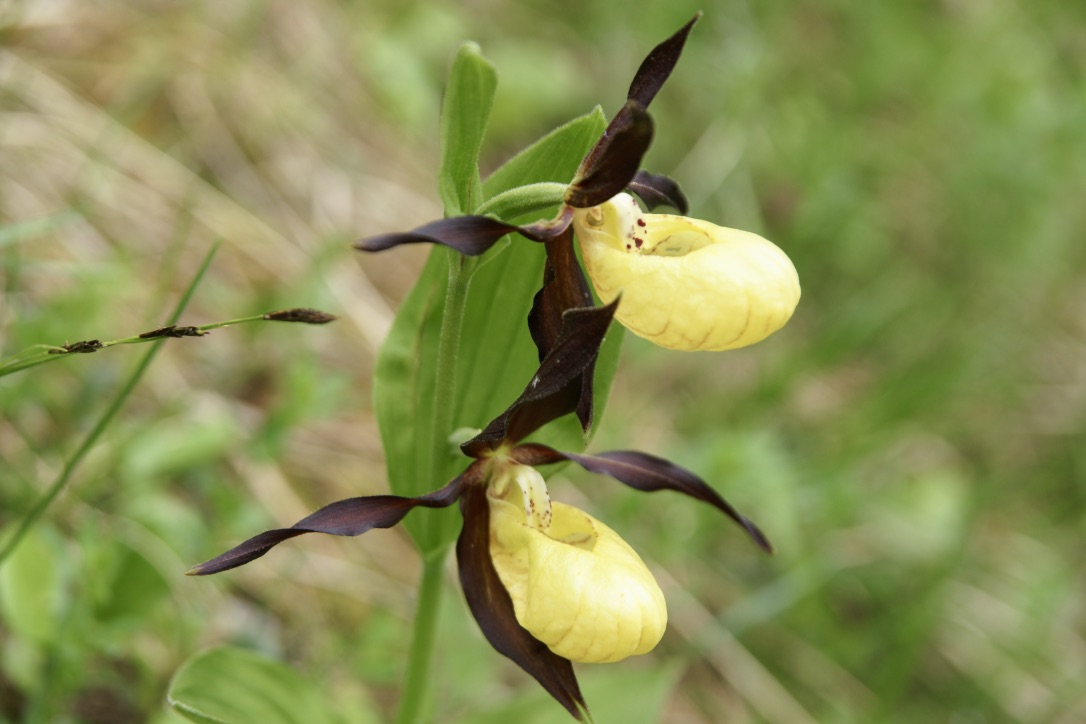 Annexe fpryboCLQkuad5xQBXZyaw_thumb_5f7.jpg