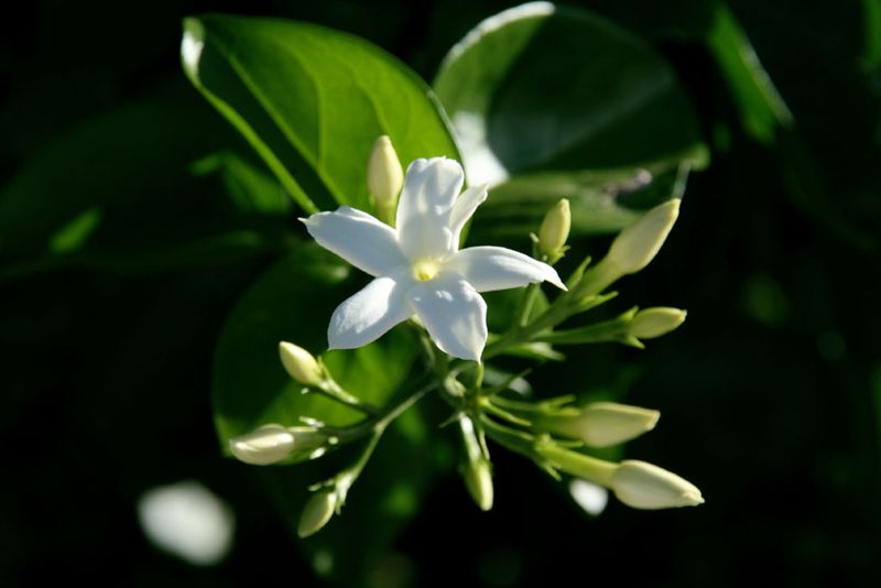 Annexe 6a00d8341d1d7953ef0162fca40552970d-800wi.jpg