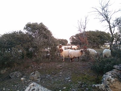 Annexe IMG_20180216_184414 (1)_opt.jpg