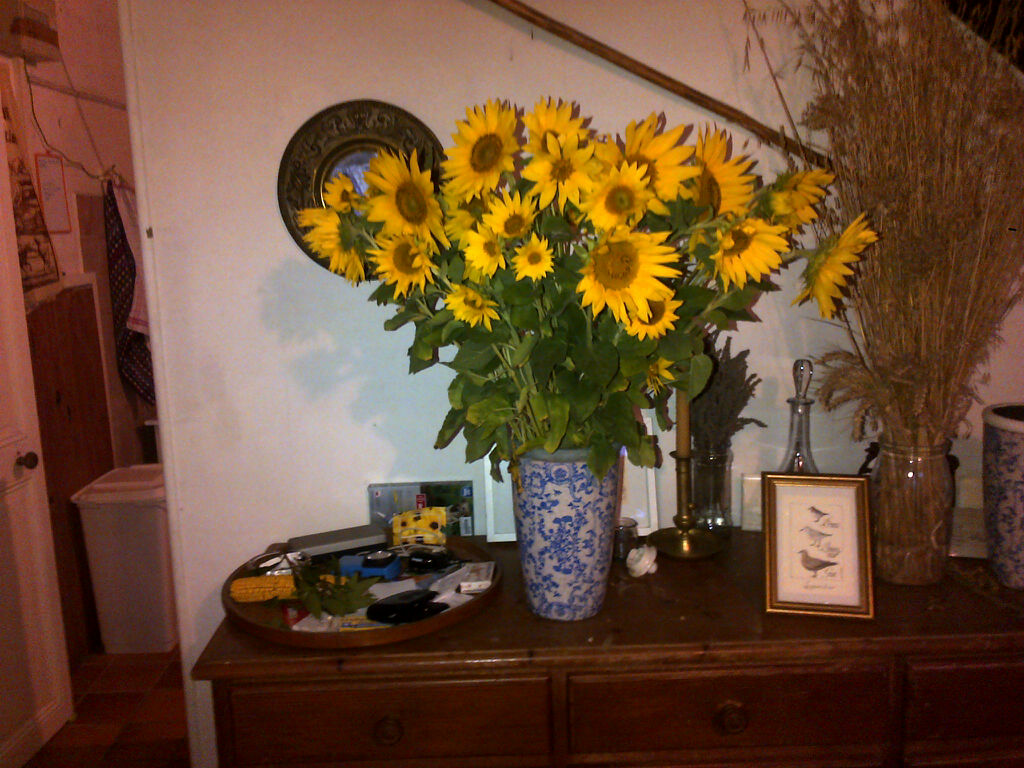 Annexe Tournesol.JPG