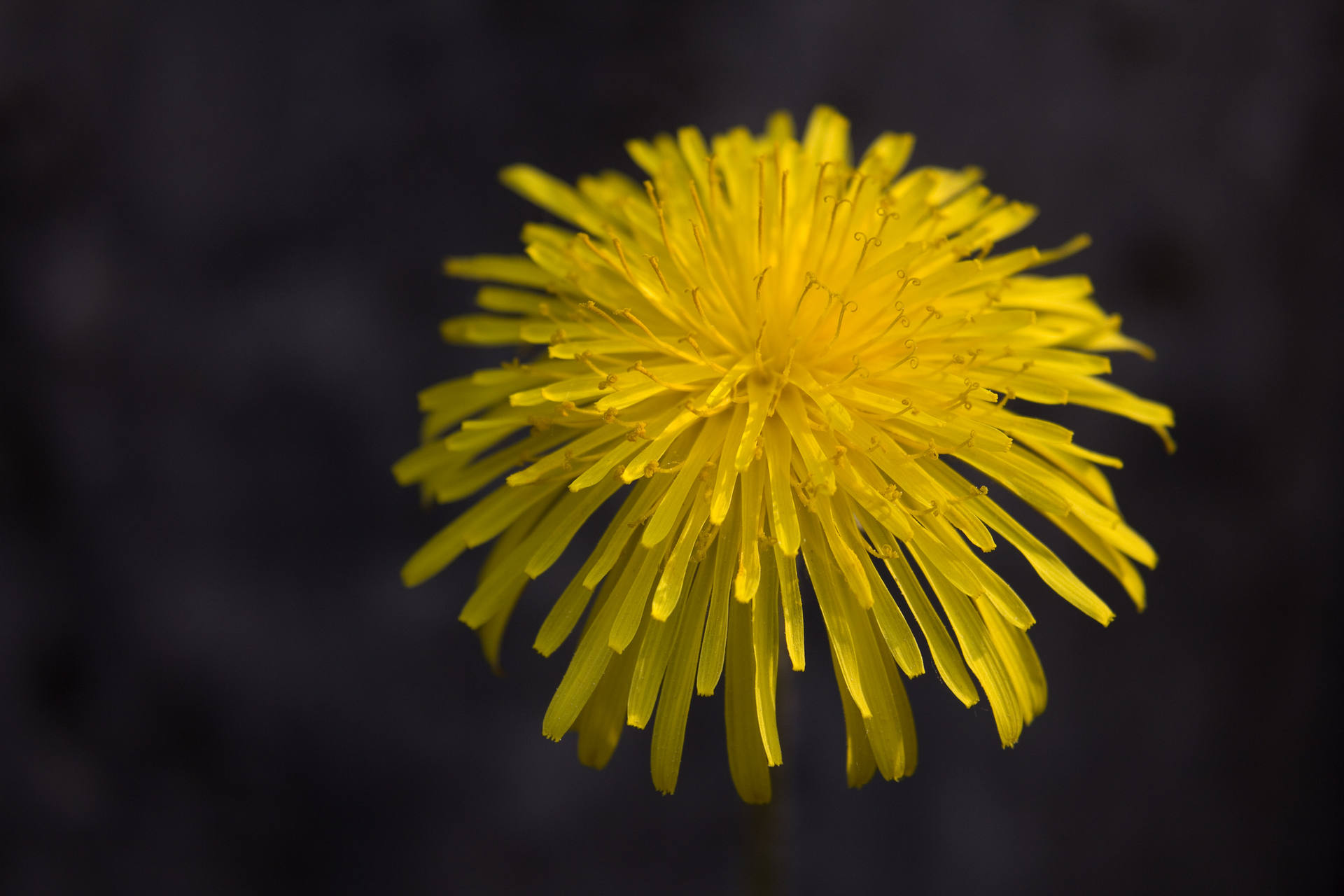 Annexe 1p3u07u4tmdc8s8ww8k4ow8gs-source-12197020.jpg