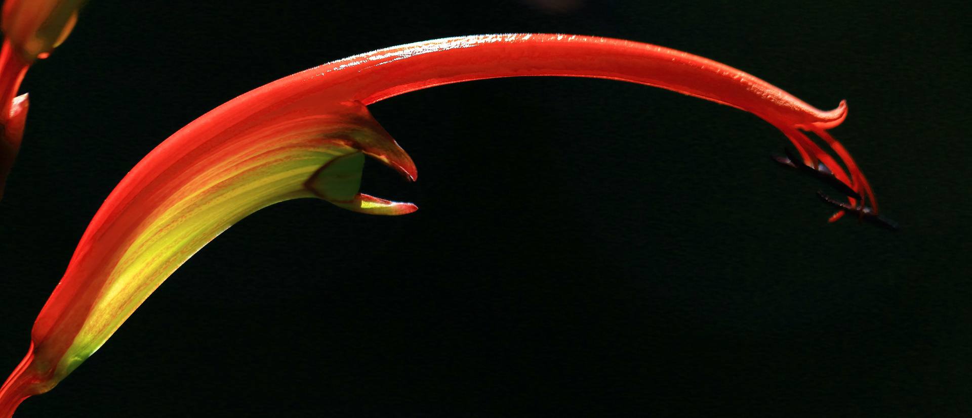 Annexe Chasmante.  JPG (2).JPG