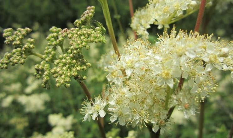 Annexe 75771BE5-5248-4103-AEDE-2FCC66EC60BC.jpeg