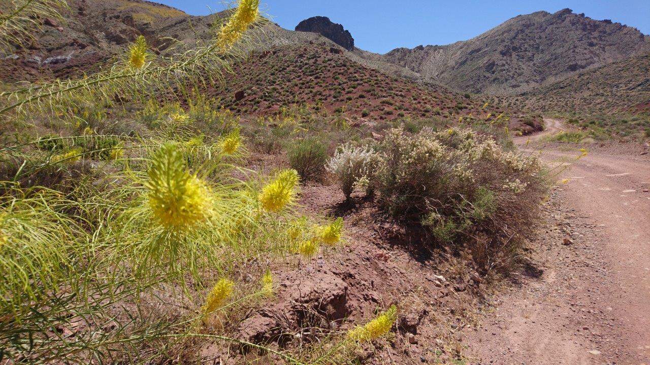 Annexe DSC_4560P.jpg