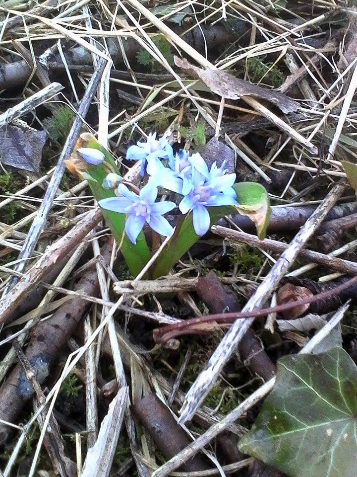 Annexe 29101396_10216383870178051_5311203532290916352_n.jpg