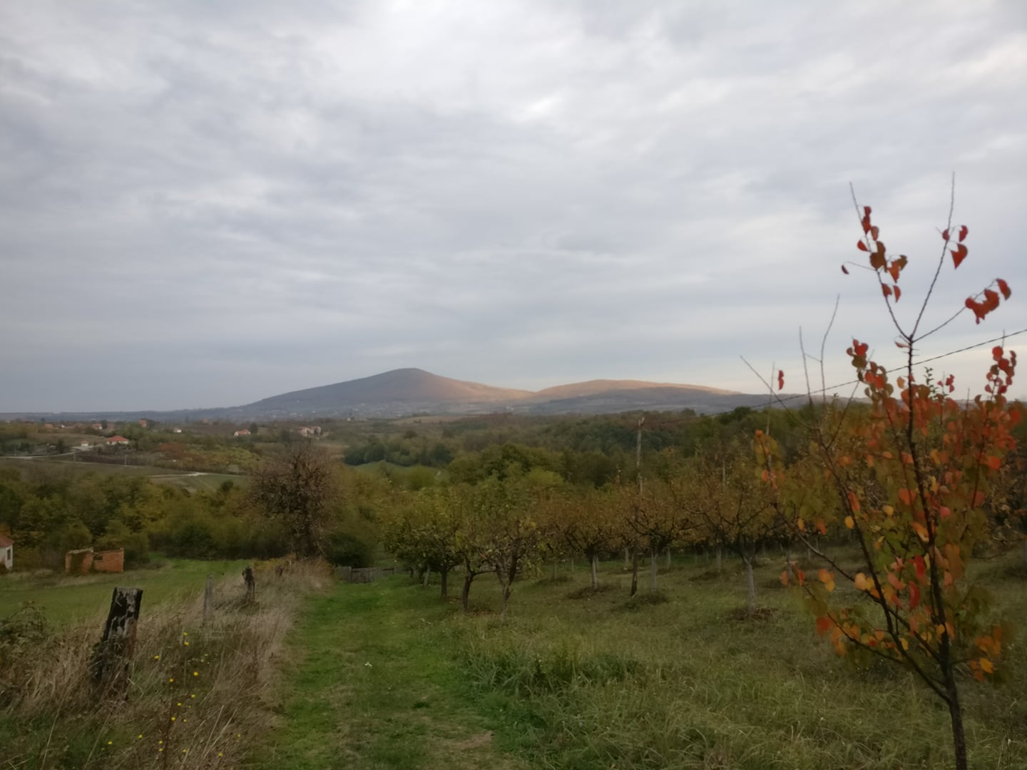 Annexe Durlpabis.jpg